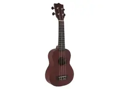 Ukulele Joy main image
