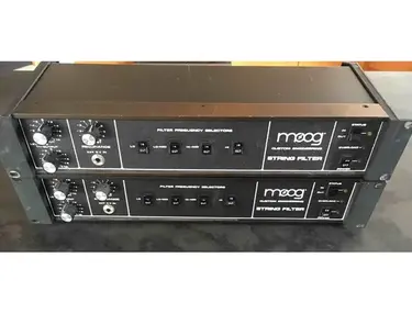 Moog Custom Engineering String Filter