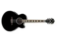 Ibanez AEL30SE-BK main image