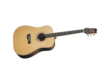 Tacoma DR14 Dreadnought Acoustic Guitar