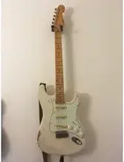 Vester Stratocaster Traditional Series main image