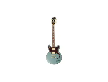 D'Angelico Deluxe Brighton