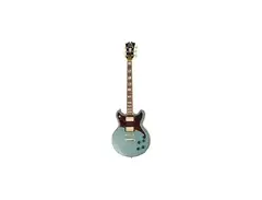 D'Angelico Deluxe Brighton main image