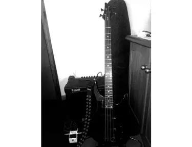 Strinberg Guitars Special Line Bass
