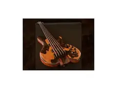 Wyn Robin Zielhorst’s 5 String Fretless