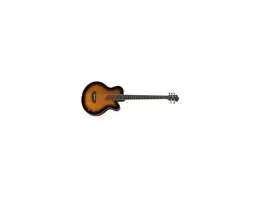 Washburn Ab45