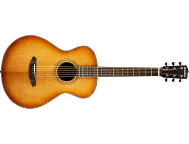 Breedlove Signature Concertina Copper E