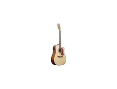Washburn DK20CET main image