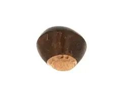 Terre Shaker Coconut main image