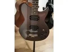 Washburn WI16 G15 main image