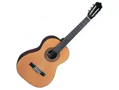 Santos Martinez Principante SM34 3/4 Classical Guitar main image