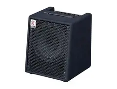 Eden Amplification EC10 main image