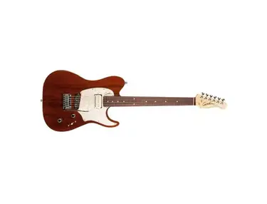 Godin Custom Swamp Ash