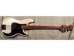 Fender Warmoth Bass. main image