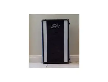 Peavey 210 Column