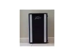 Peavey 210 Column main image