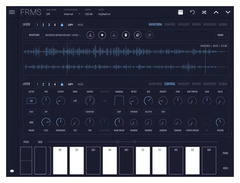 Imaginando FRMS - Granular Synthesizer image 2