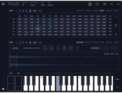 Imaginando FRMS - Granular Synthesizer image 4