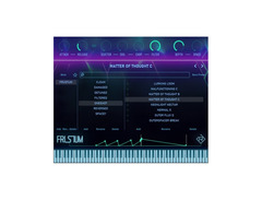 Rigid Audio Frustum image 3