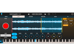 BLEASS SampleWiz 2 image 2
