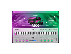 UJAM RICO image 2