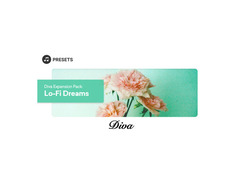 Plugin Boutique Presets Diva Expansion Pack: Lo-Fi Dreams image 3