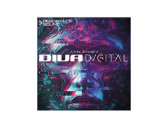 Resonance Sound AZS Digital Diva image 2