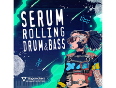 Singomakers Sounds Serum Rolling Drum & Bass image 2