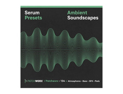Loopmasters Patchworx Ambient Soundscapes - Serum Presets image 2