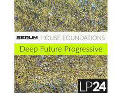 LP24 Audio Serum - House Foundations image 2