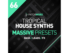 Loopmasters Tropical House Massive Presets image 2