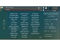 Sonora Cinematic Panorama Guitars  image 3
