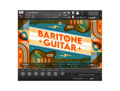 Soundiron Iron Pack 5 - Baritone Guitar image 2