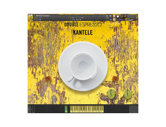 Have Audio Kantele image 3