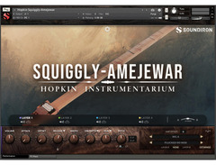 Soundiron Hopkin Instrumentarium: Squiggly Amejewar image 2