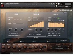Soundiron Hopkin Instrumentarium: Squiggly Amejewar image 3