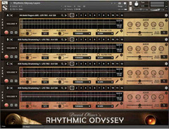 Soundiron David Oliver's Rhythmic Odyssey image 2