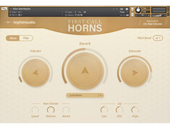 Big Fish Audio First Call Horns image 2