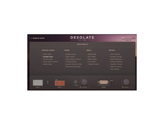 e-instruments Desolate Guitars image 2