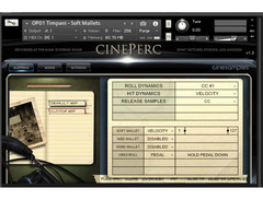 Cinesamples CinePerc image 3