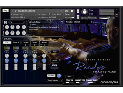 Cinesamples Artist Series - Randy's Prepared Piano image 2