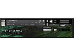 Cinesamples Orchestral Chords image 2
