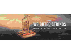 Soundiron Hopkin Instrumentarium: Weighted Strings image 2