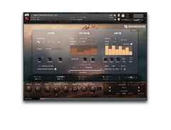 Soundiron Hopkin Instrumentarium: Weighted Strings image 4