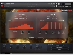 Soundiron Rhythmic Origins image 3