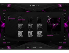 Muze Enigma image 2