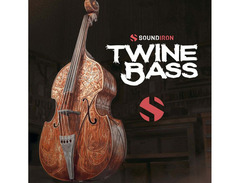 Soundiron Twine Bass image 2