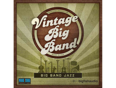 Big Fish Audio Vintage Big Band image 3