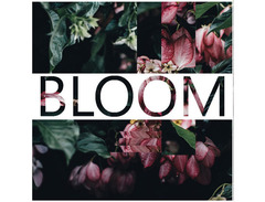 Iamlamprey Bloom image 2
