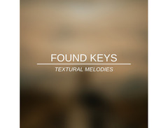 Iamlamprey Found Keys image 2